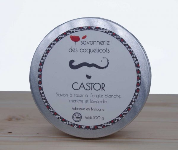 CASTOR CASTOR